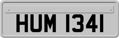 HUM1341