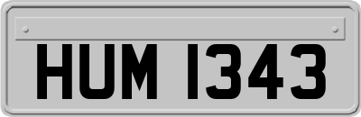 HUM1343