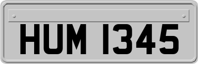 HUM1345
