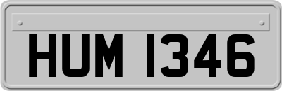 HUM1346