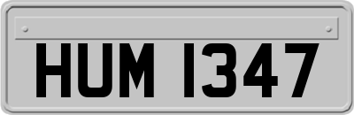 HUM1347