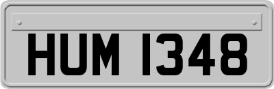 HUM1348