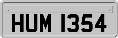 HUM1354