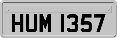 HUM1357