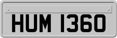 HUM1360