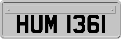 HUM1361