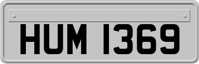 HUM1369