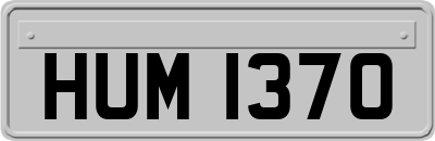 HUM1370