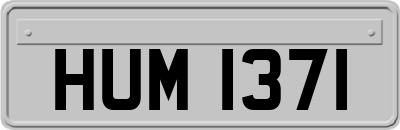 HUM1371