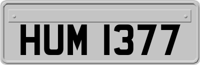 HUM1377