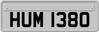 HUM1380