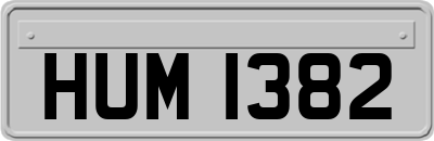 HUM1382
