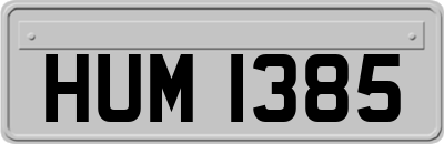 HUM1385