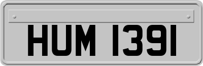 HUM1391