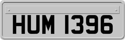 HUM1396