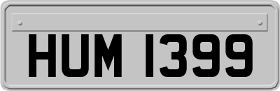 HUM1399