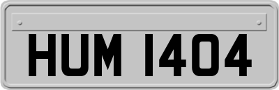 HUM1404