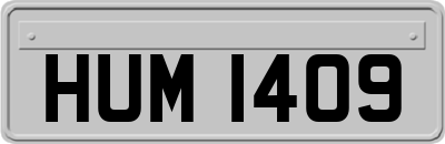 HUM1409