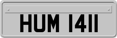 HUM1411