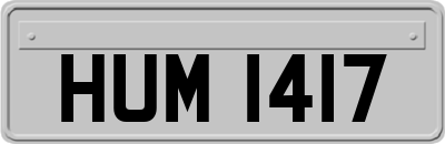 HUM1417