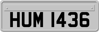 HUM1436