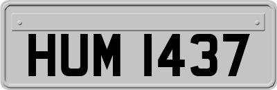 HUM1437