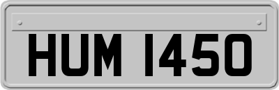 HUM1450