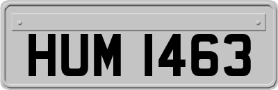 HUM1463