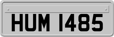 HUM1485