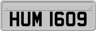 HUM1609