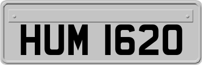 HUM1620