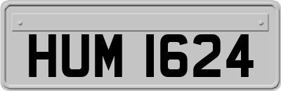 HUM1624