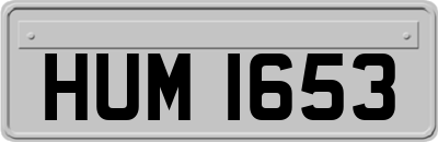 HUM1653