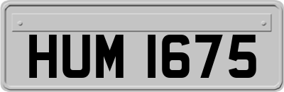 HUM1675