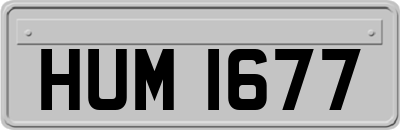 HUM1677