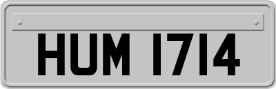 HUM1714