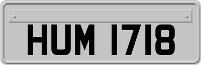 HUM1718