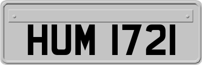 HUM1721