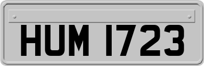 HUM1723