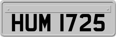 HUM1725