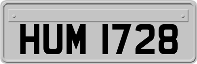 HUM1728