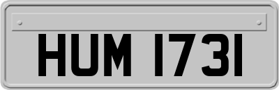 HUM1731