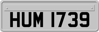 HUM1739