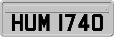 HUM1740