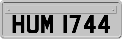 HUM1744