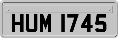 HUM1745