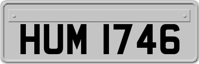 HUM1746