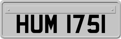 HUM1751