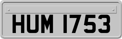 HUM1753