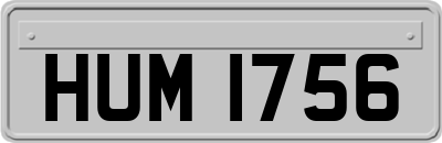 HUM1756